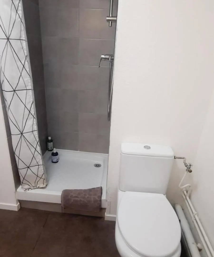 Central Gare Apartment Lyon